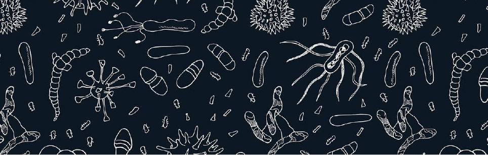 آزمایش انگل شناسی - استرینگ تست (آزمایش تشخیصی انواع انگل)